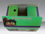 Fruit&Vegetable Packaging Box